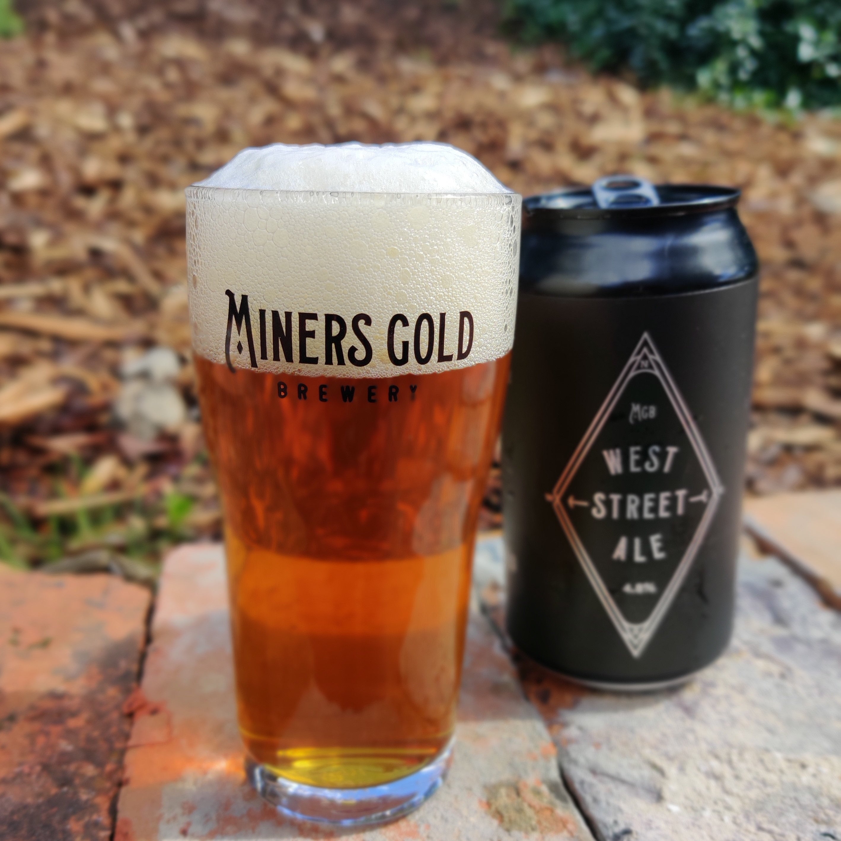 This is a photo of a schooner glass and a black can of West Street Ale on a brick retaining wall in the garden. The Shooner glass has been poured full of amber coloured beer.